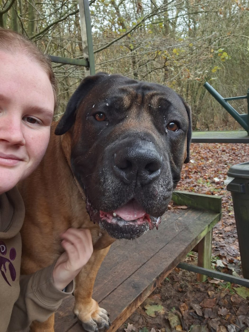 Danielle beside a calm mastiff in the woodland exercise area